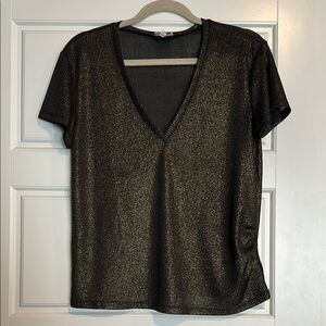 Black Fitted V-Neck Short Sleeve Tee